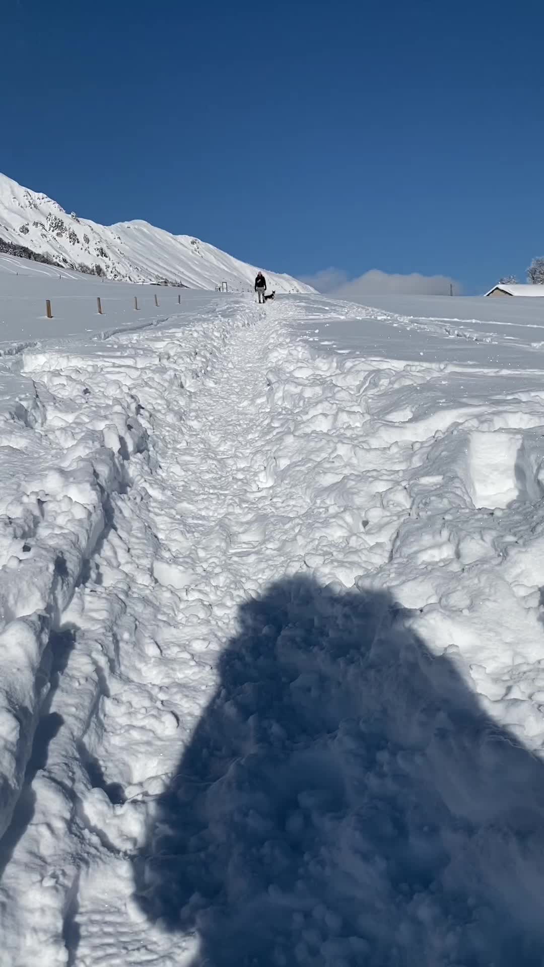 @Giacomina, la vecchia!!