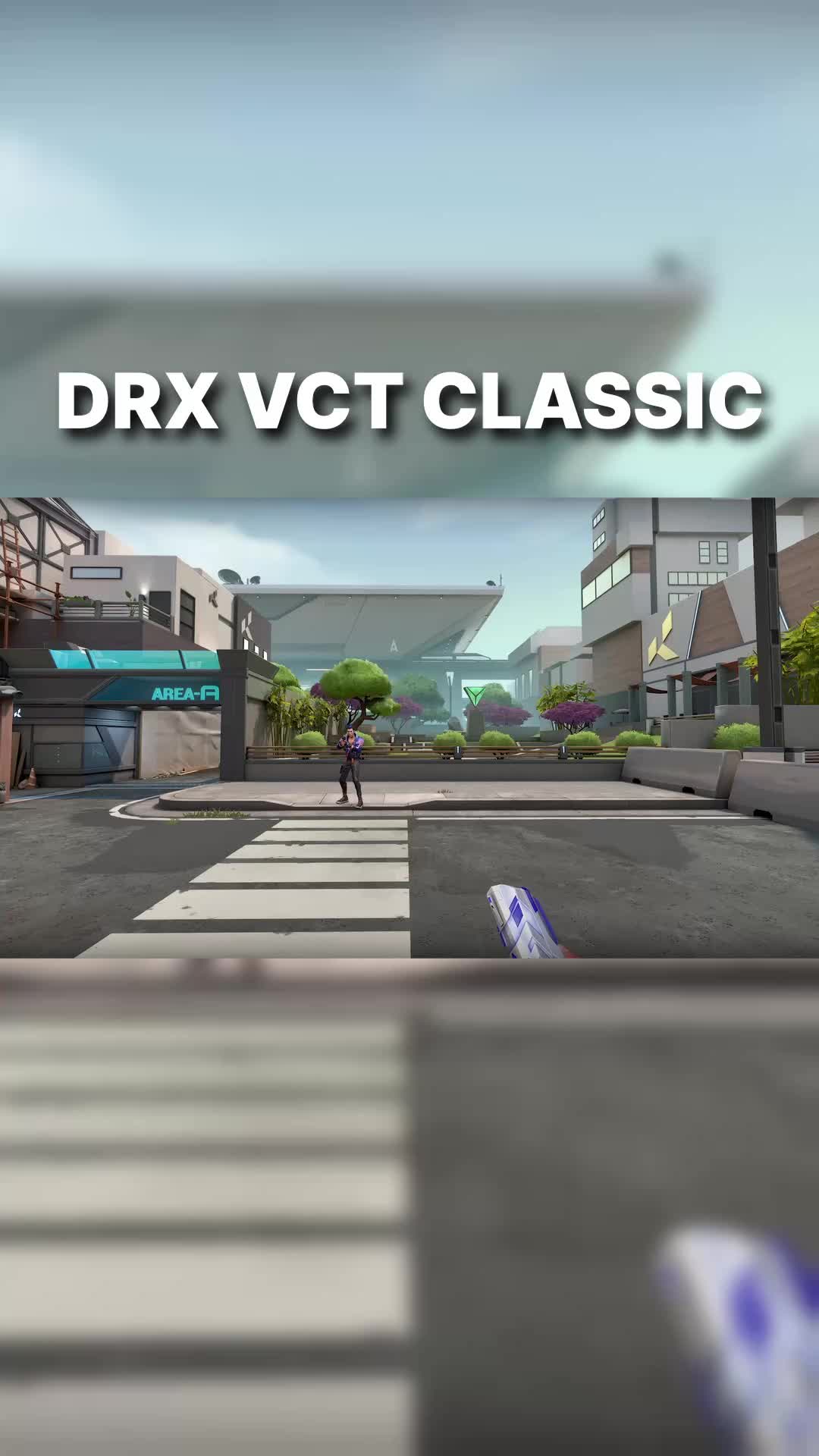 @ValorLeaks