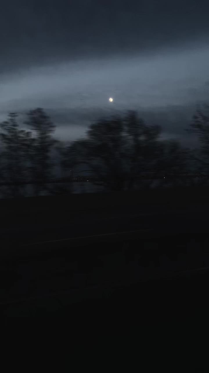 @classyvid