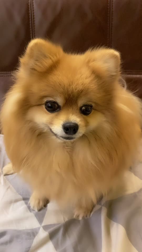 @busiya_cutie🐻♥️