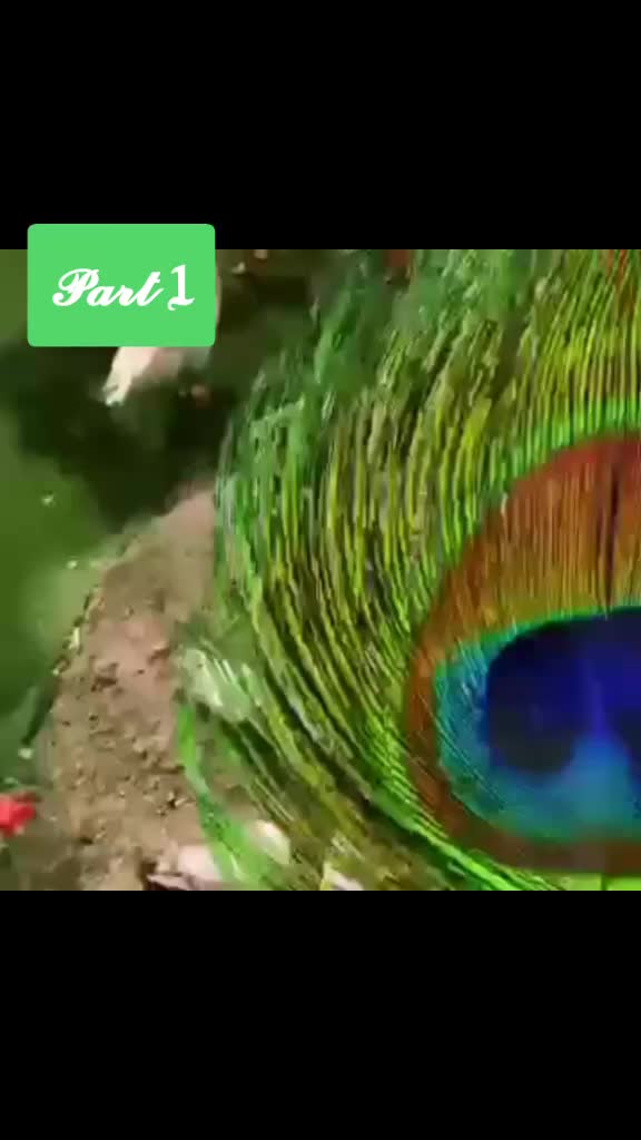 @๐๐๐๐๐๐๐๐๐๐