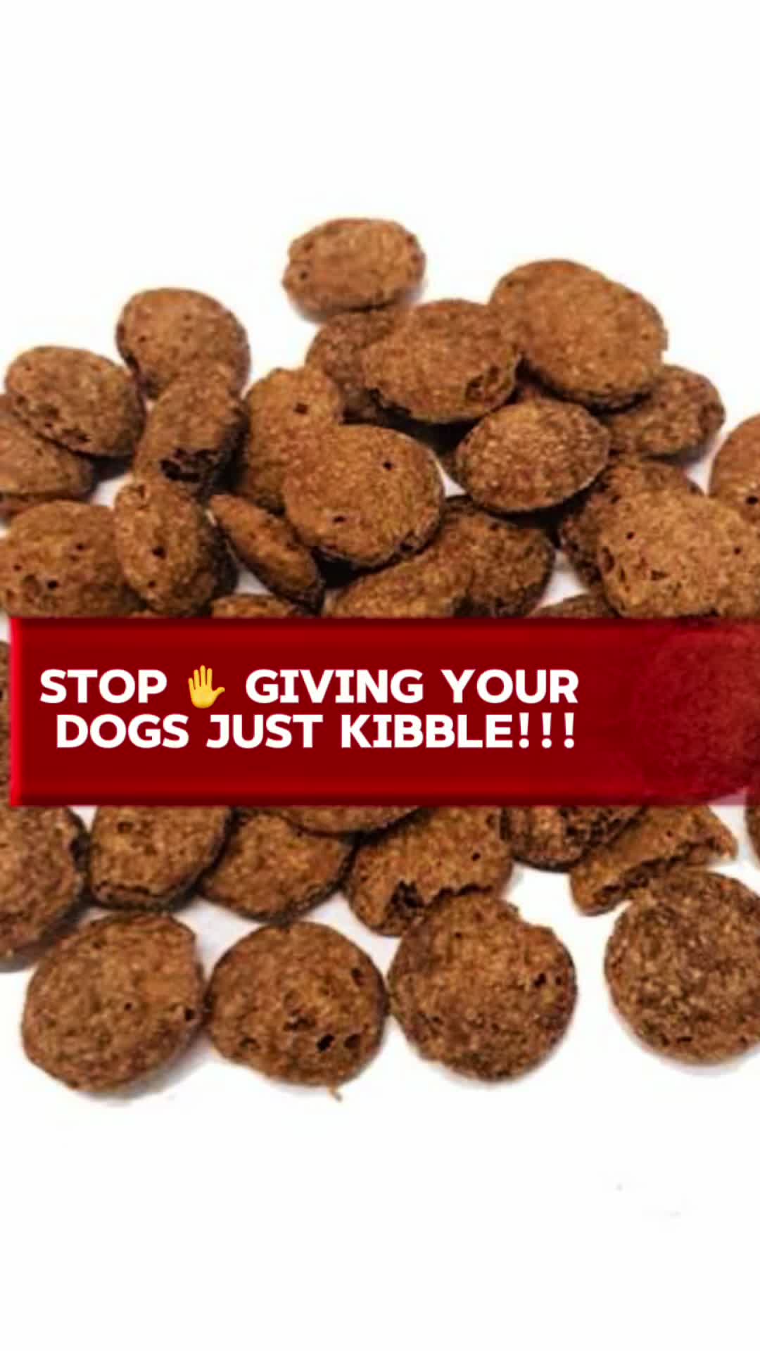 @White Canine