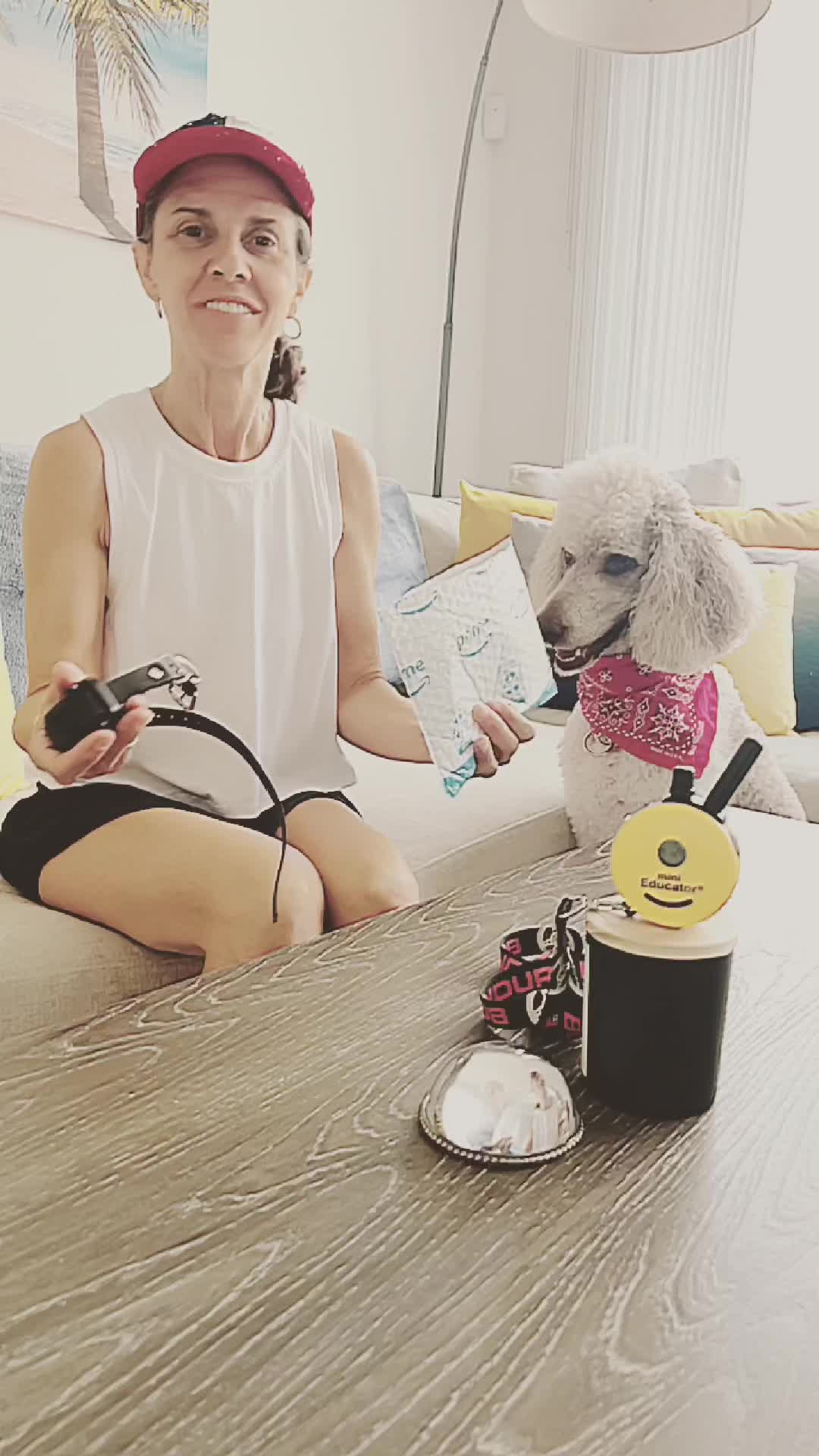 @Pawsitive Coaching with Amy