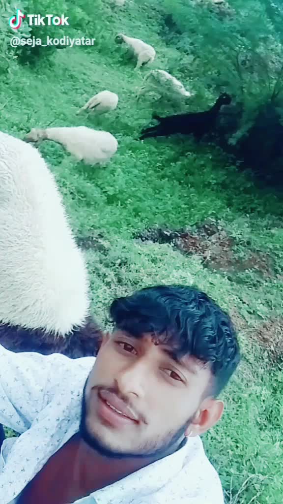 @seja_k_kodiyatar