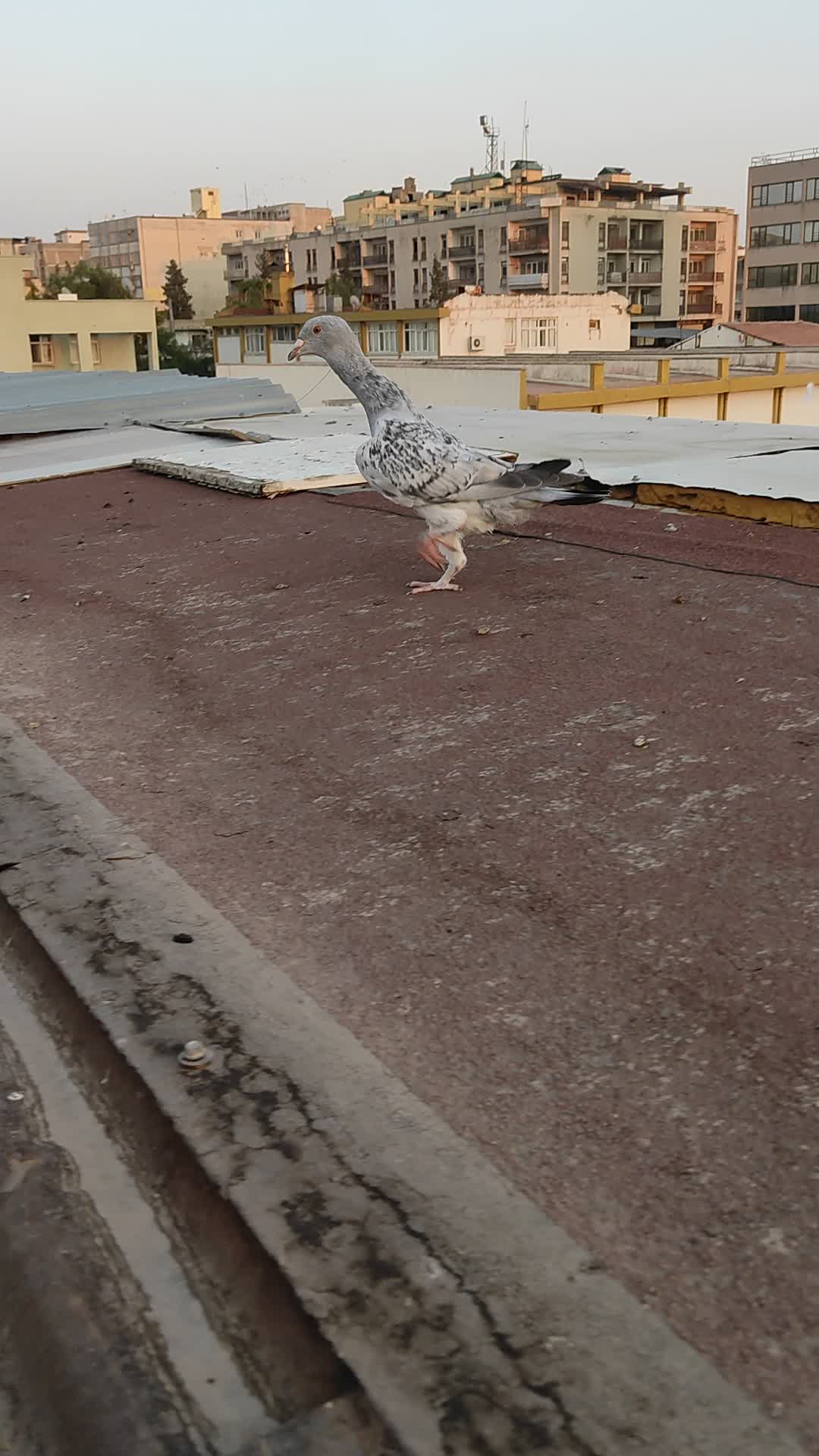 @Müslüm Kırmızıateş