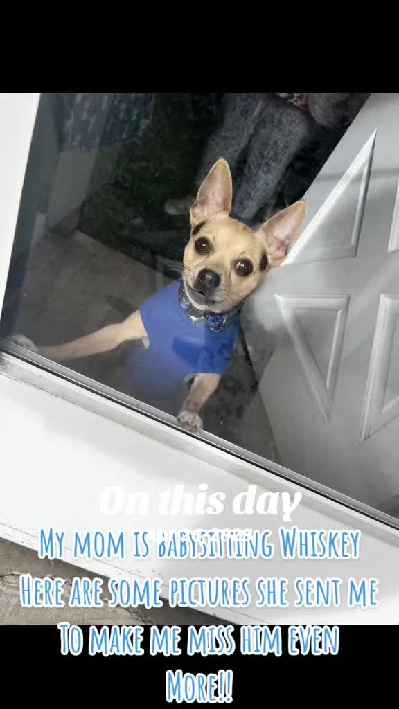 @Whiskeyandtennessee