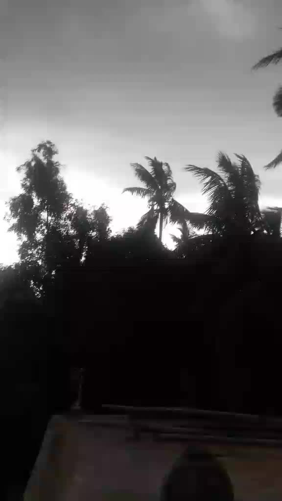 @Nayak Manoj
