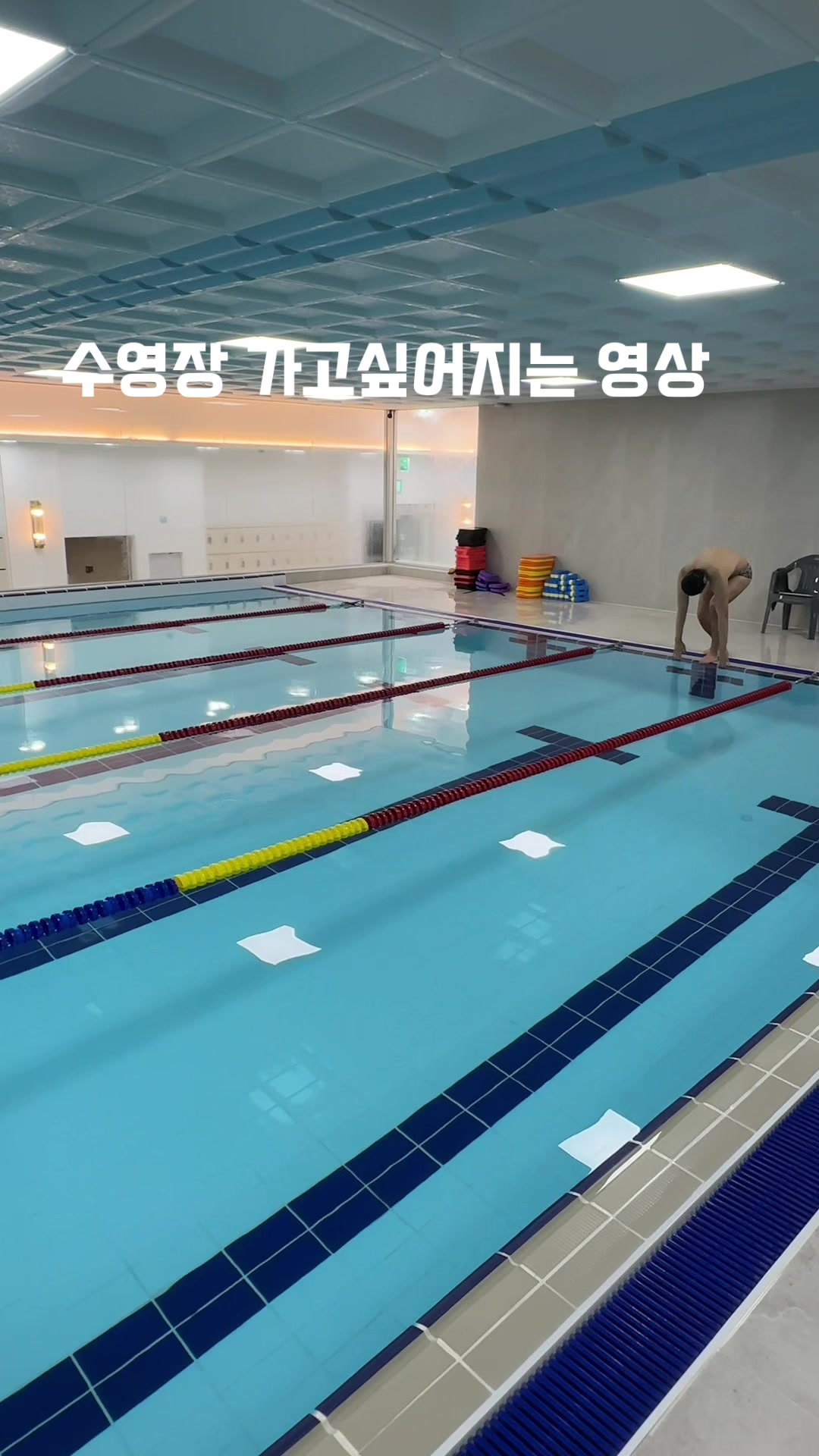 @부산 물개