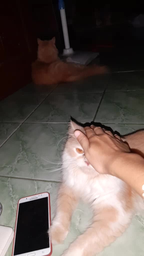 @Cewe'_Jawa 🥰