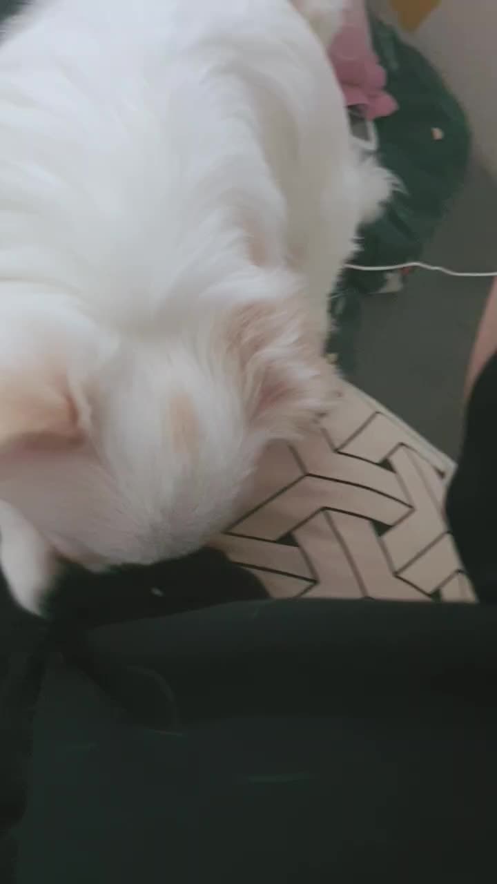@๋ง์ค