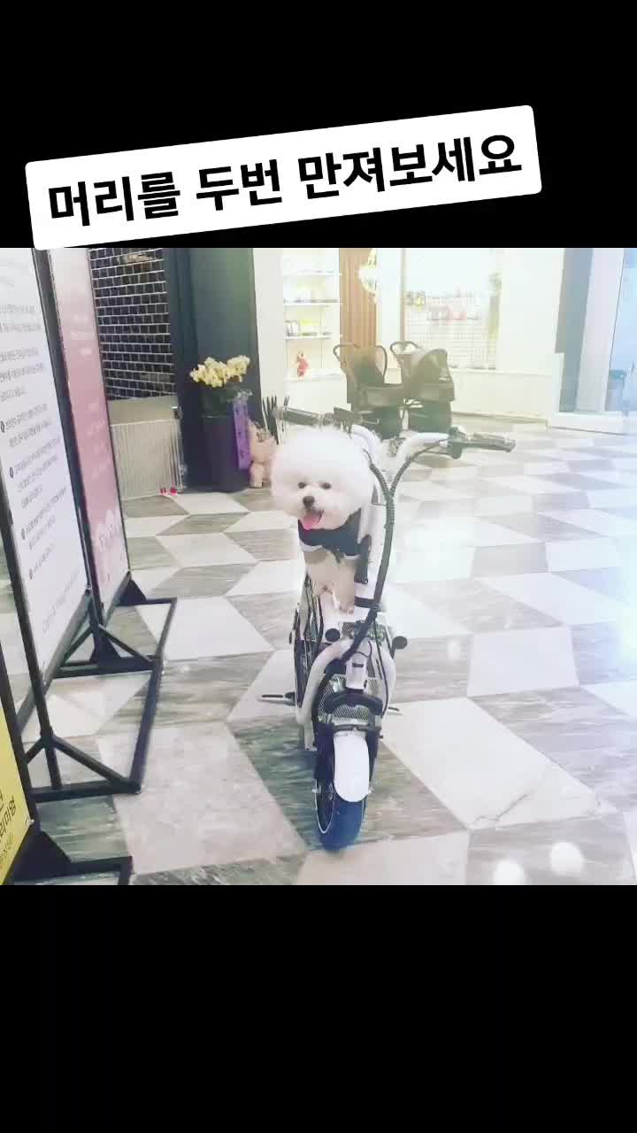 @더기