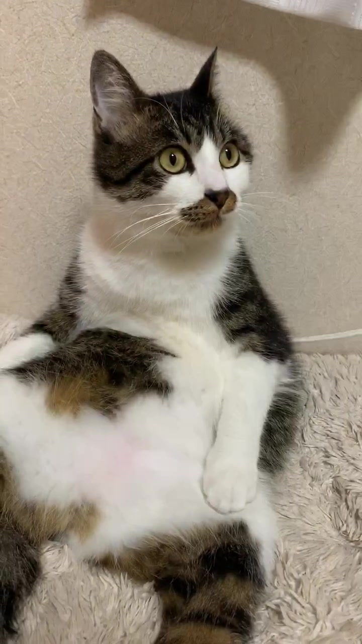 @°ส๐ฉตษ°