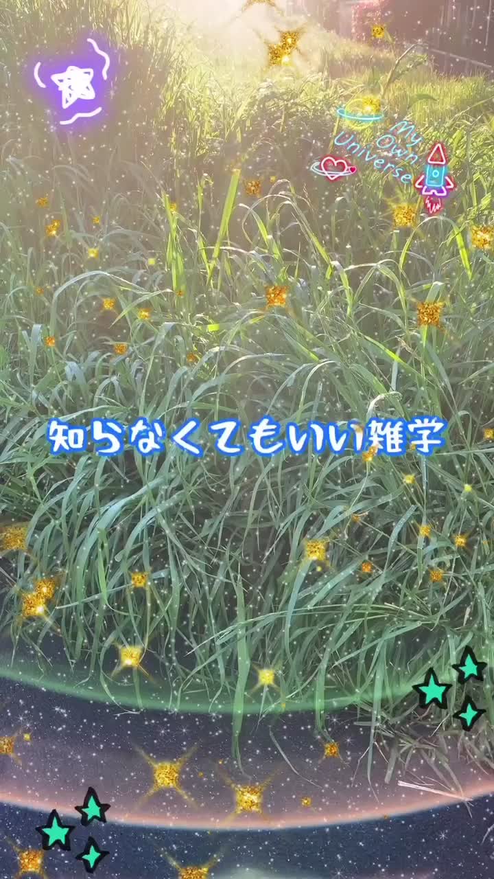 @ra9u