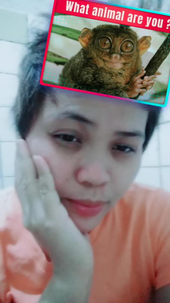 @DOMESJHAY162294