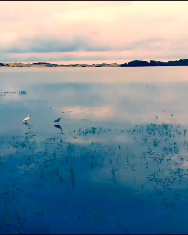 @Sri Lanka