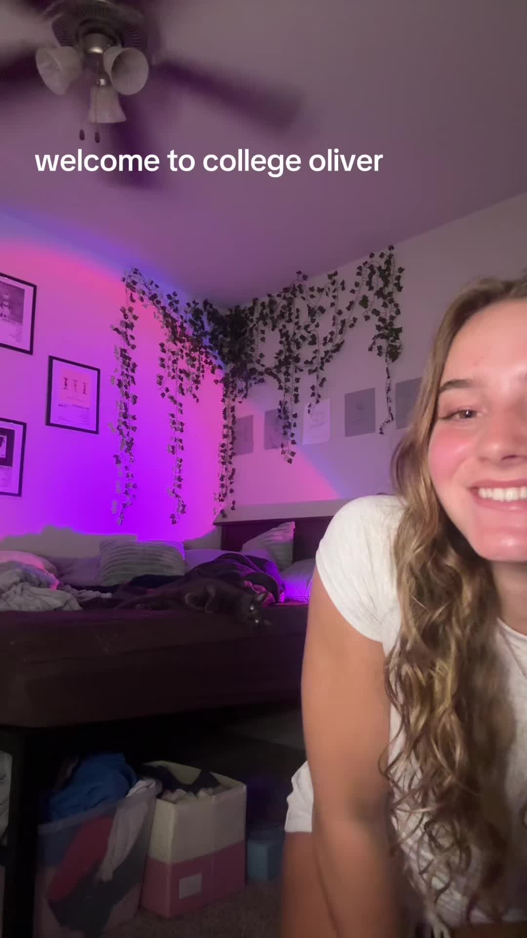 @sierra4rain
