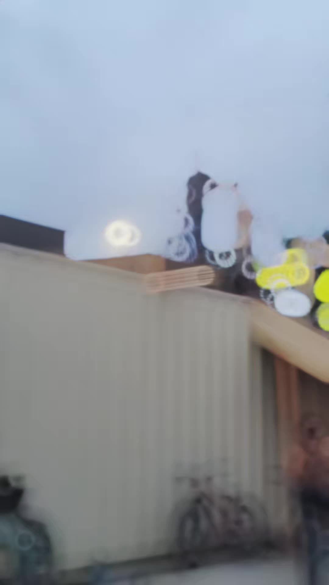 @Robinson402BMX