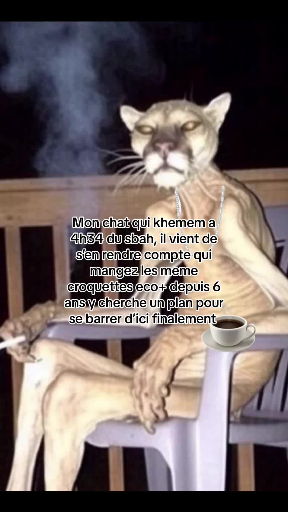 @contenue.tv