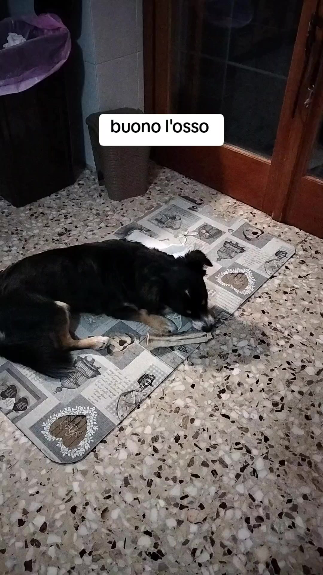 @pasqualefilice849.