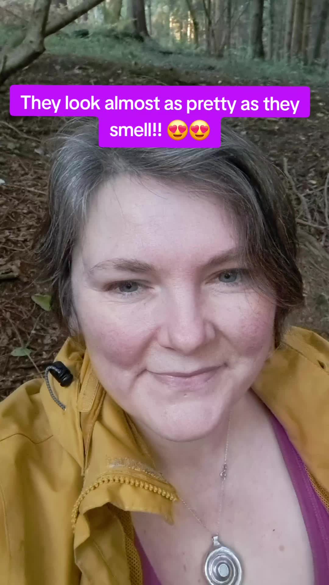 @Wild_About_the_Woods