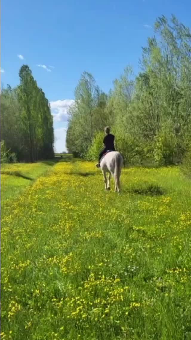 @Giulia Grandi