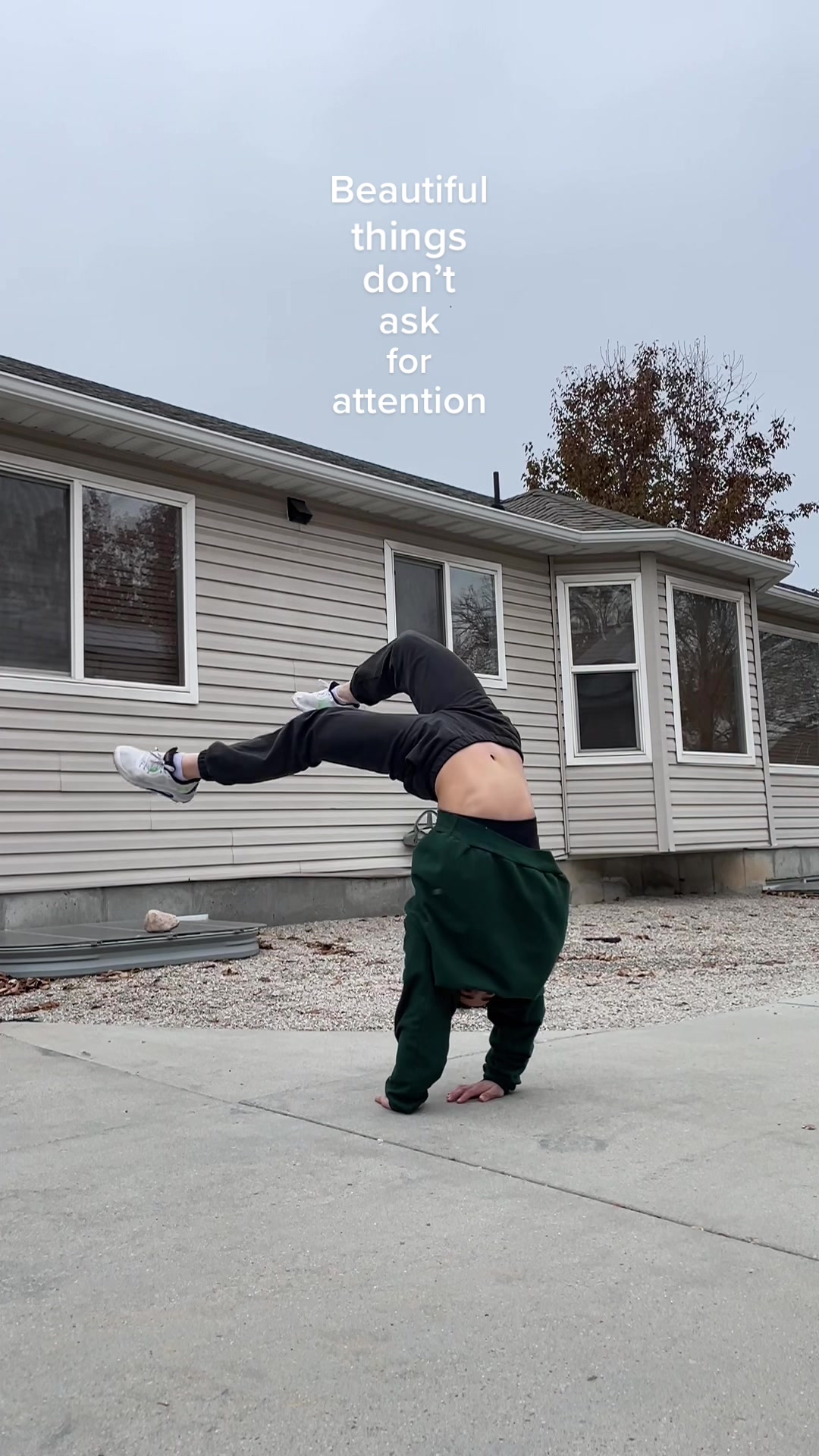 @maya