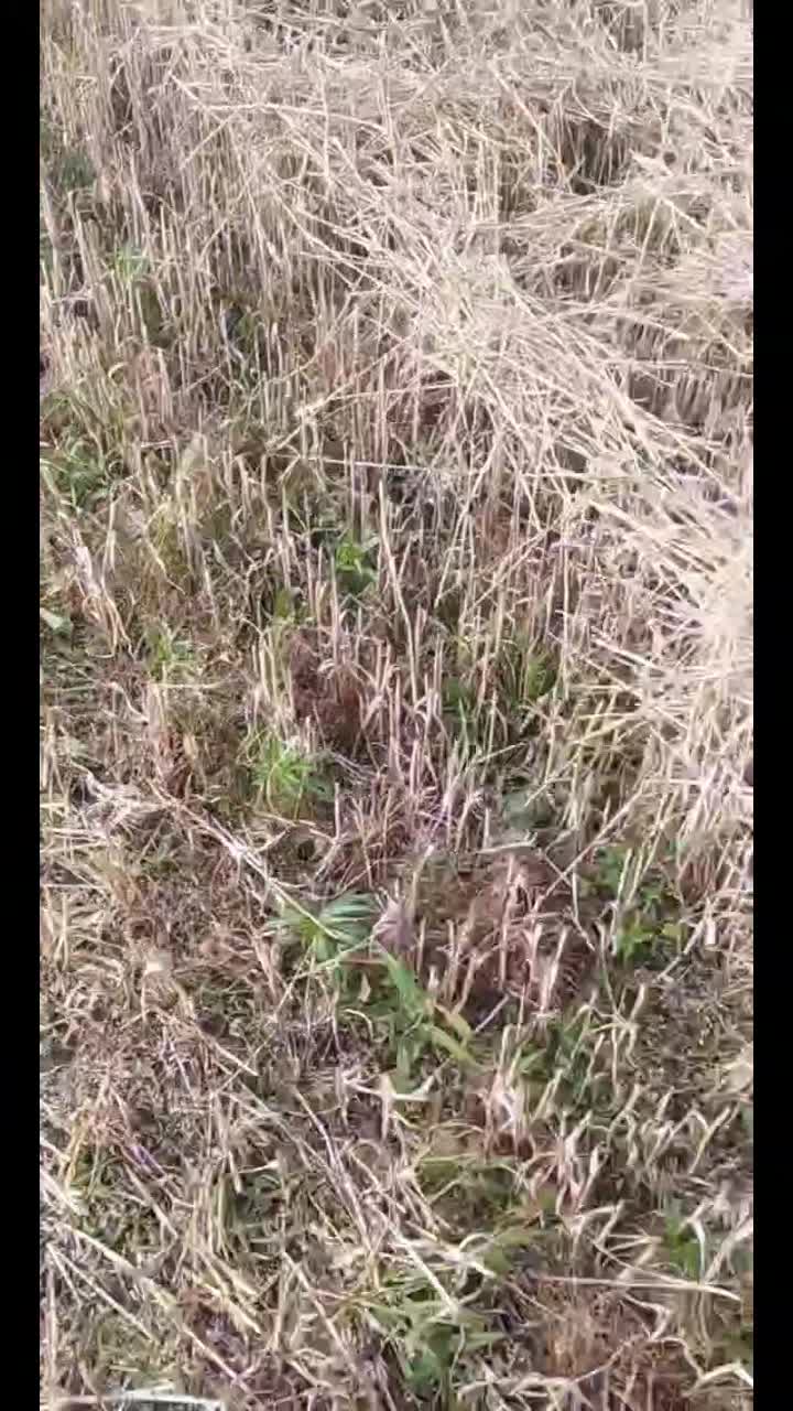 @Przemek Skwarek