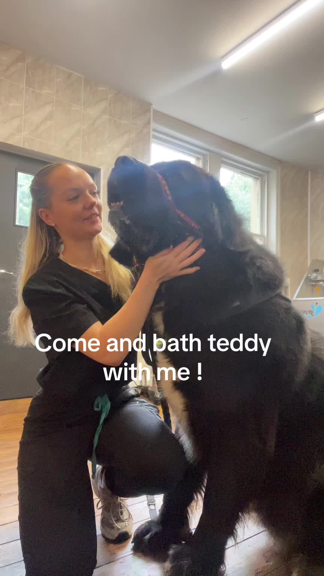@Pet Angels