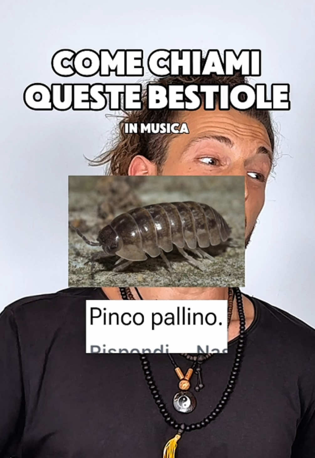 @Nicolas Rossetti