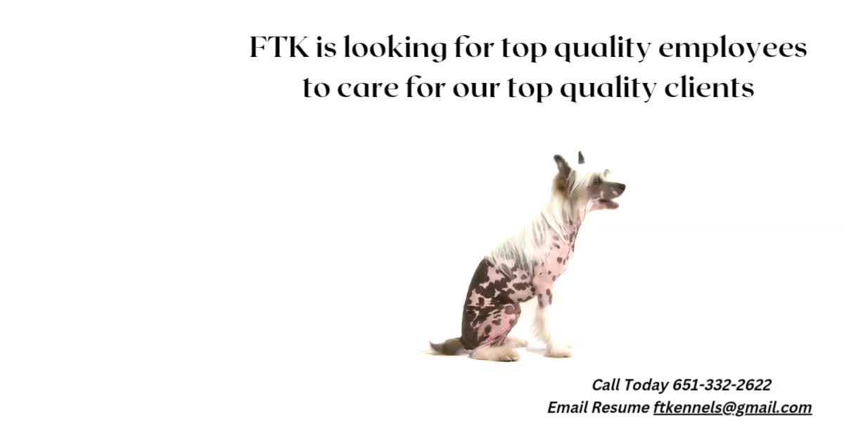@Fissan Training Kennels