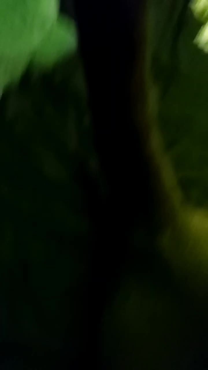 @⏤͟͟͞͞ ☆ᥕһіskᥱrs☆ ͟͟͞͞⏤