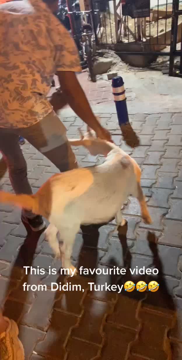 @Fîdan