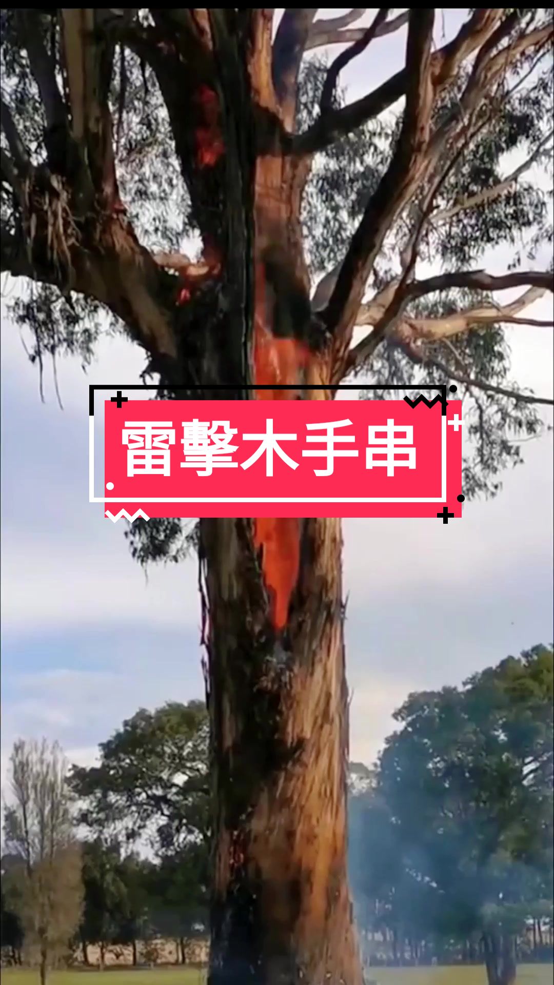 @黃藝刀工