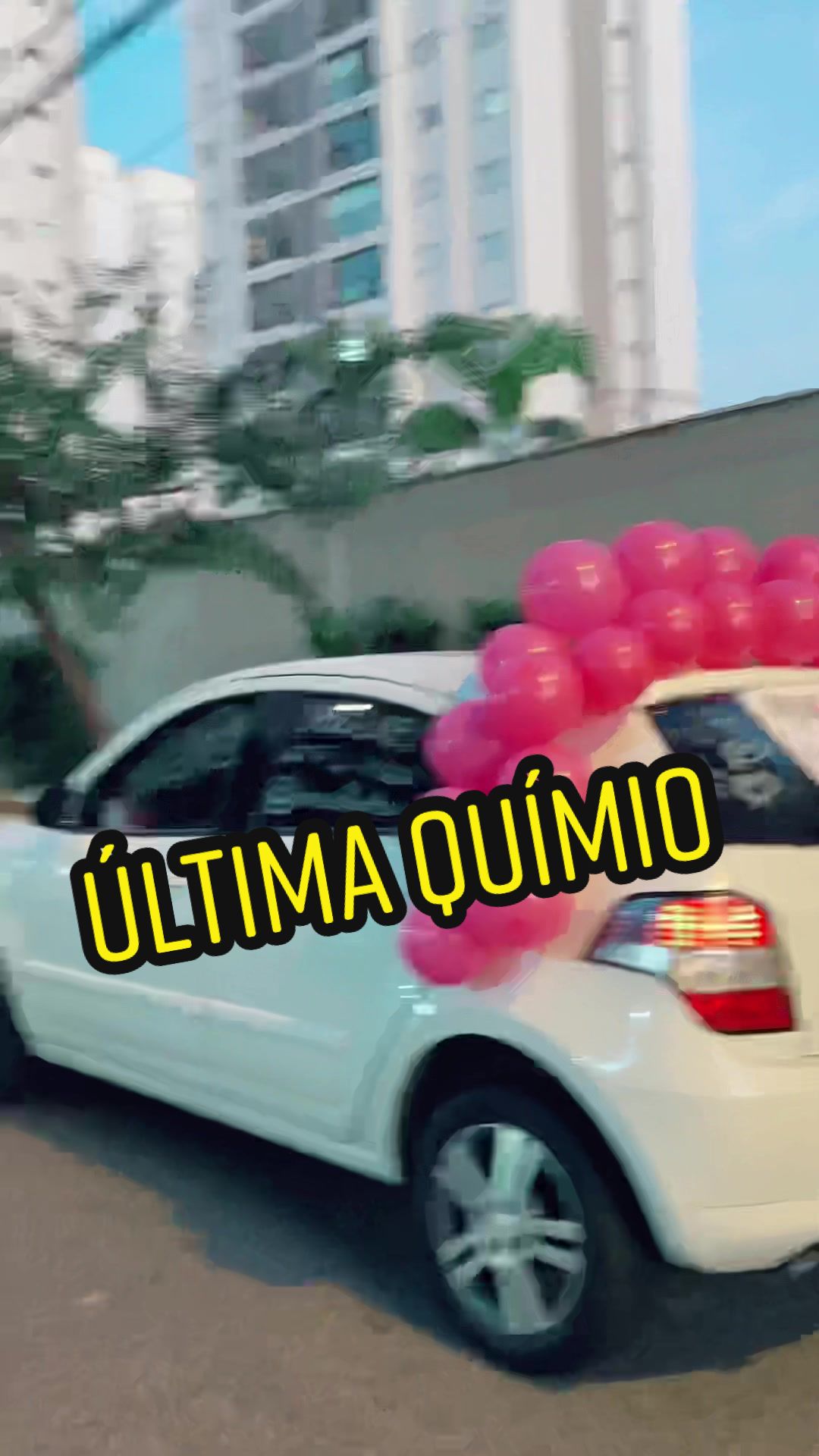 @iarasaldanha