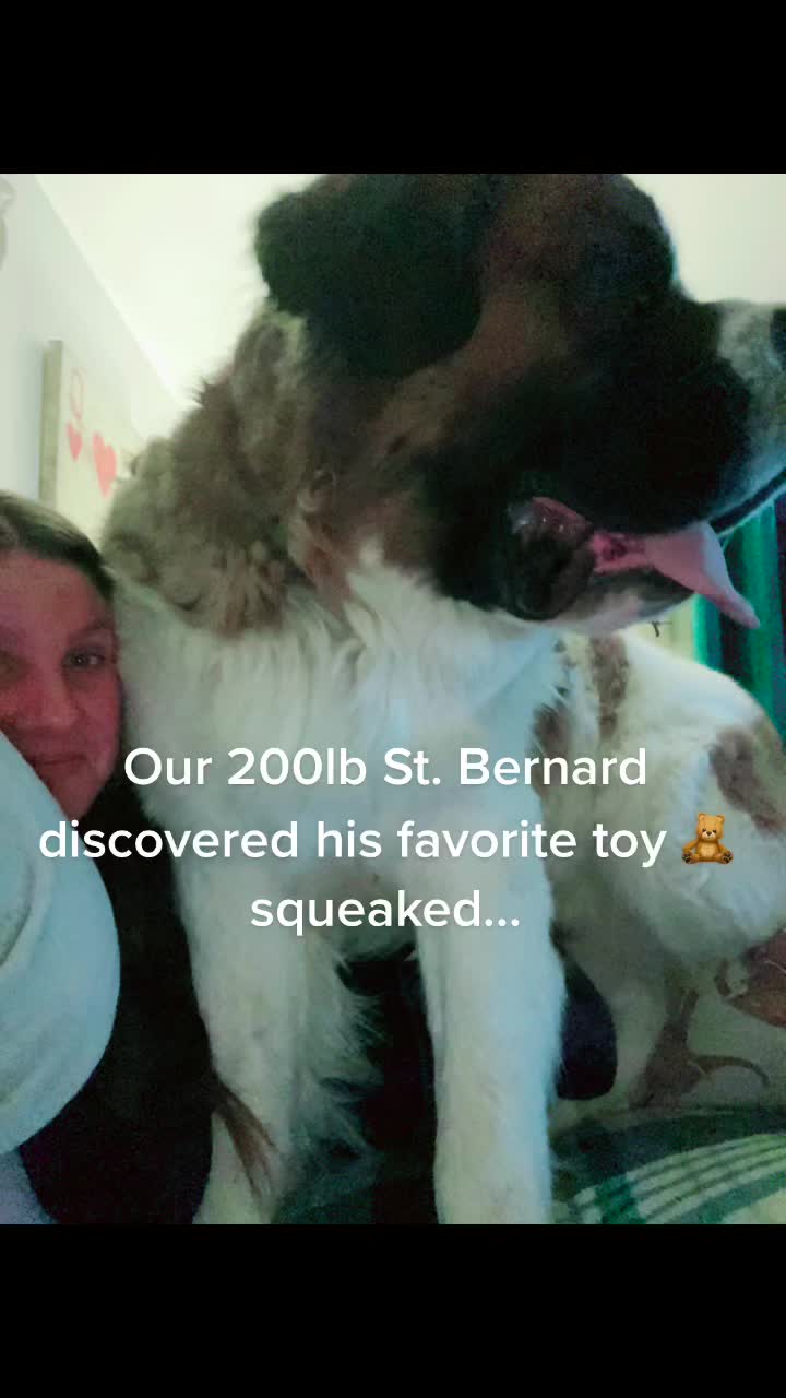 @jessicatorosian15