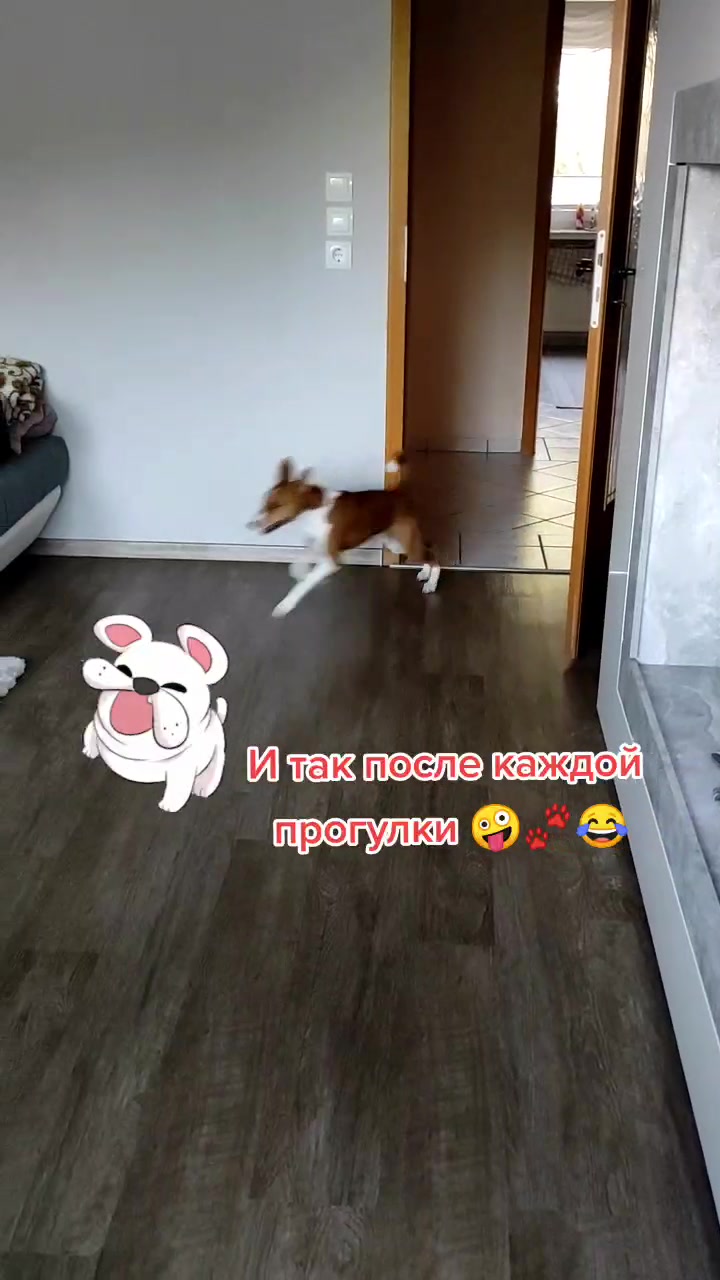 @Elena Gauzel 🥰