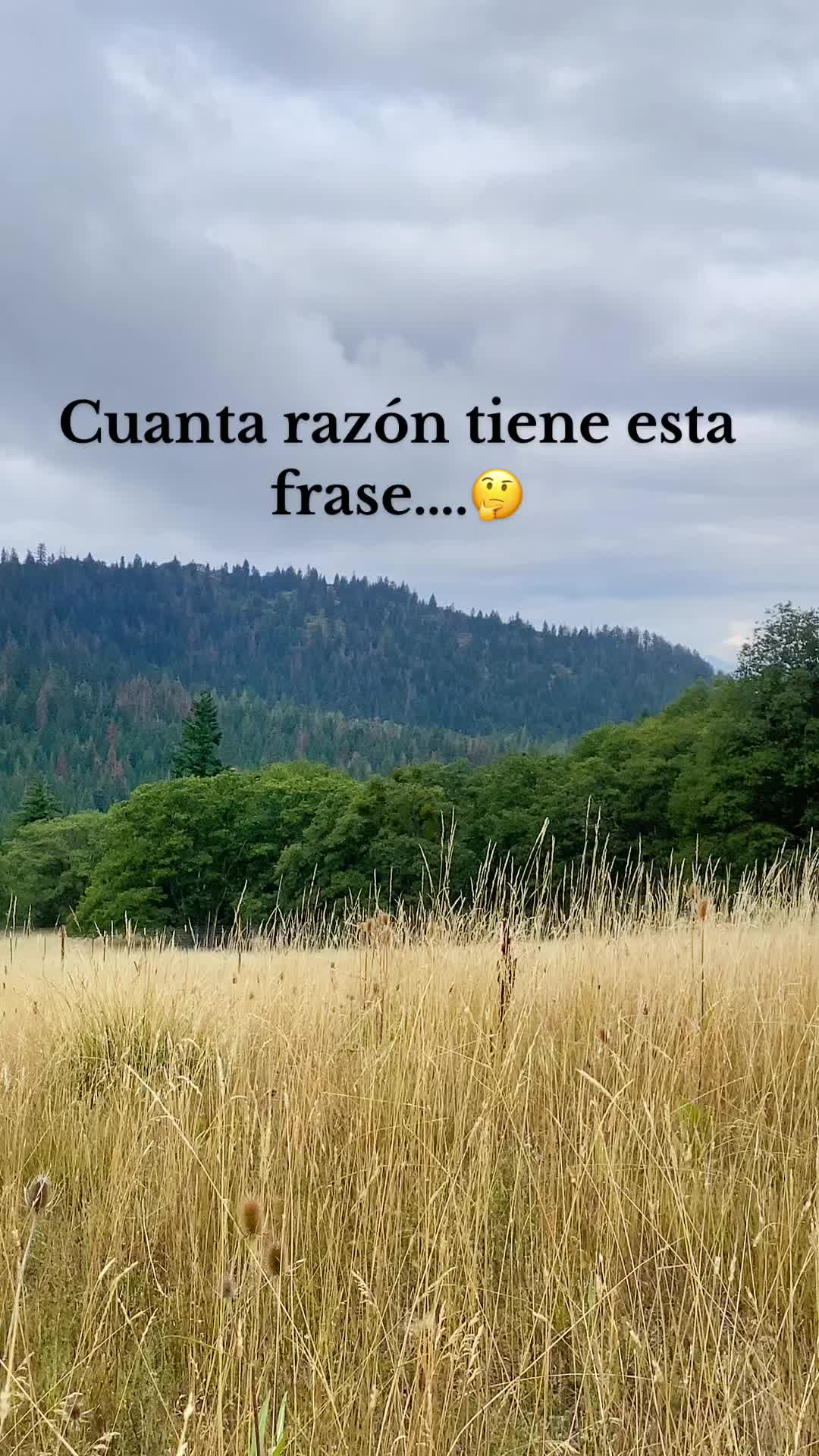 @🐾Sebastián