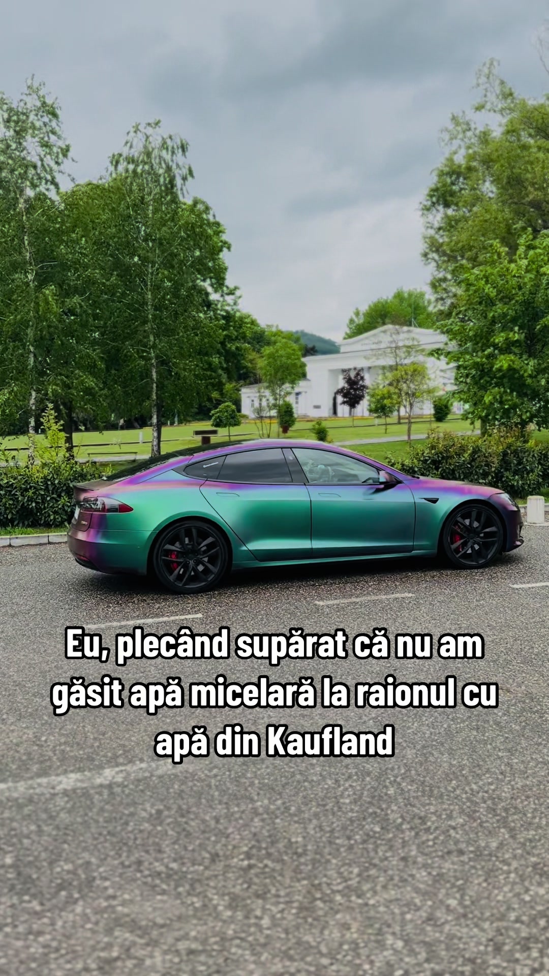 @Moldovan Daniel