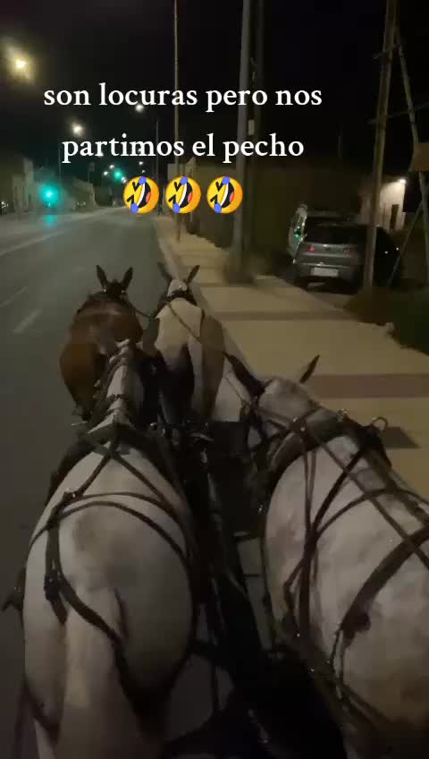@palilajm