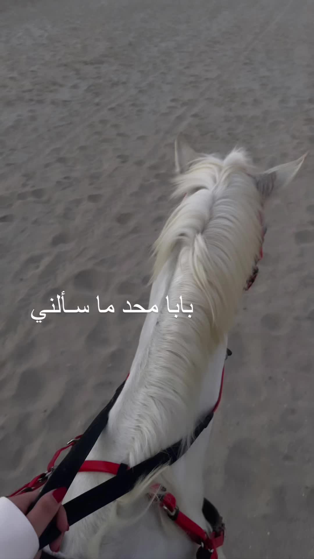 @ลH