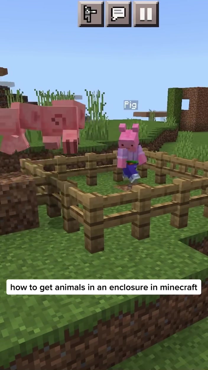 @Mvan and Pig