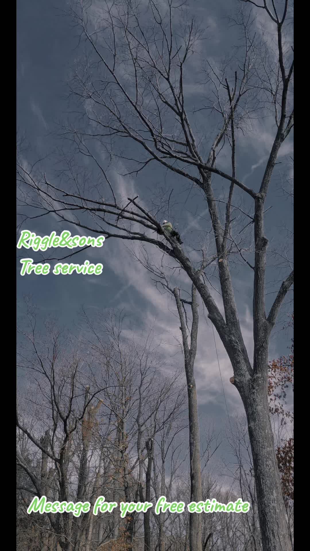 @Treeman45