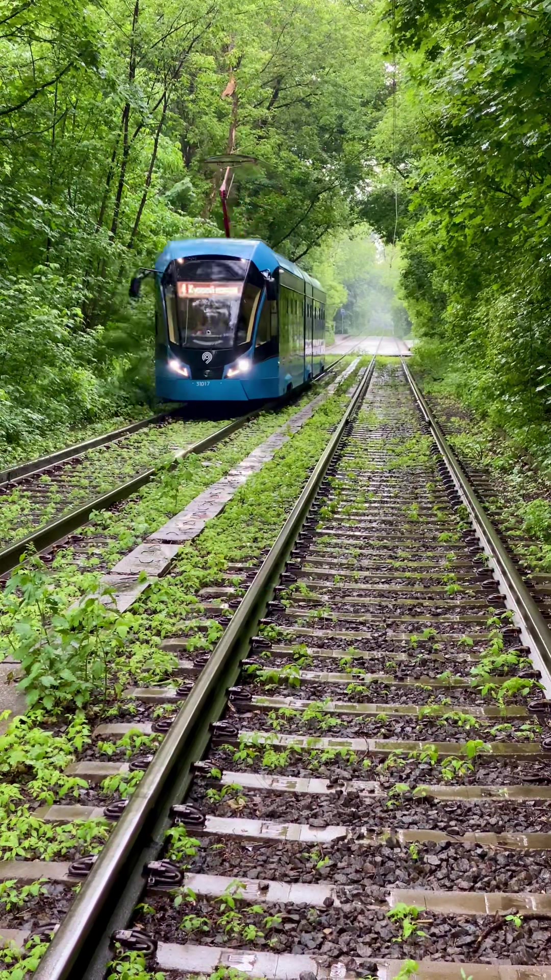 @Zewaka22 🚂