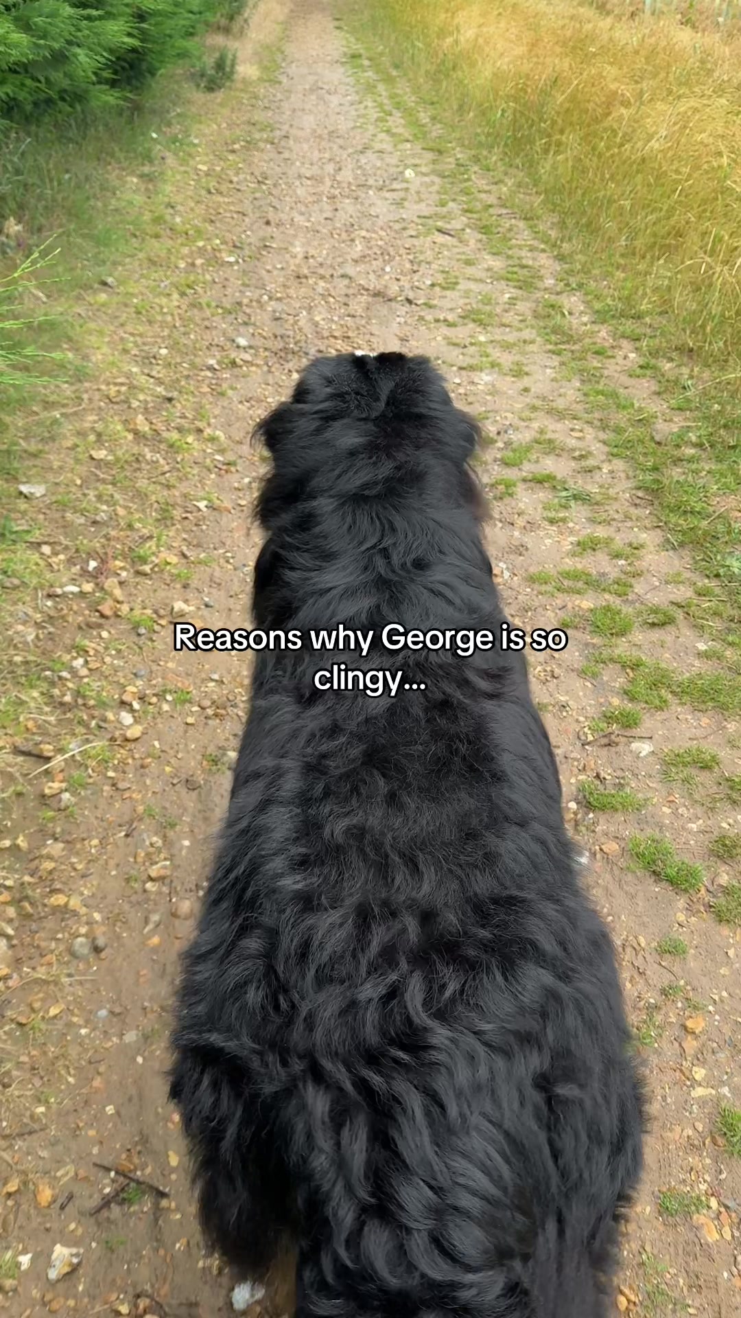 @GorgeousGeorge