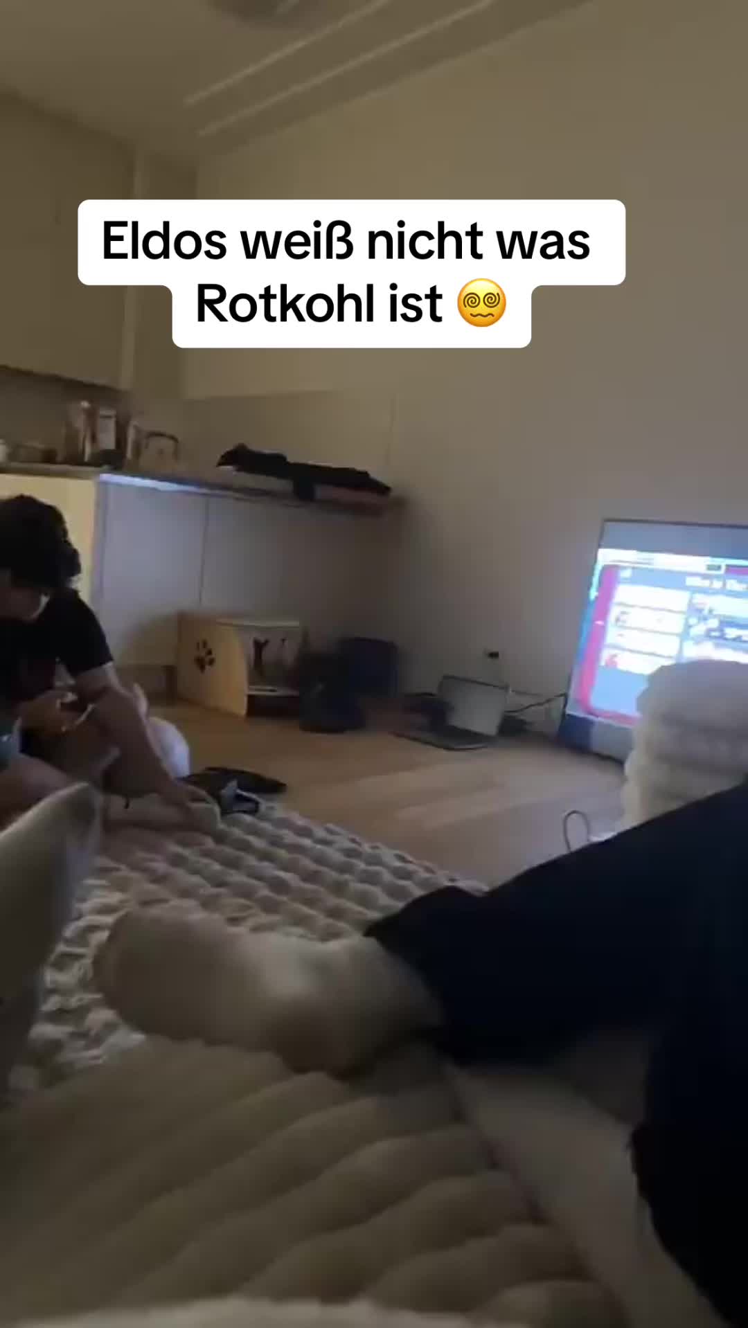 @extragella