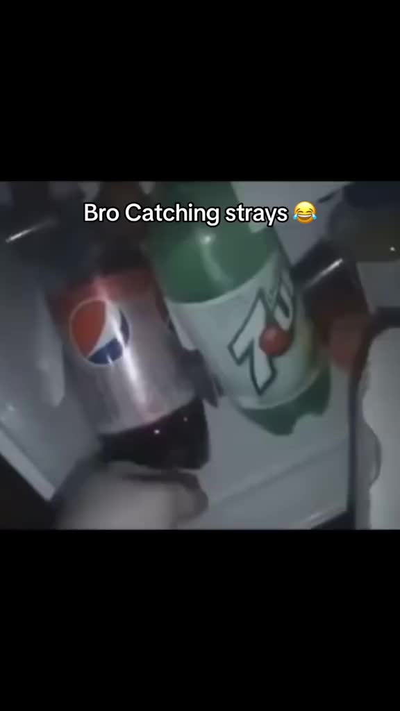 @CrimsonClips_