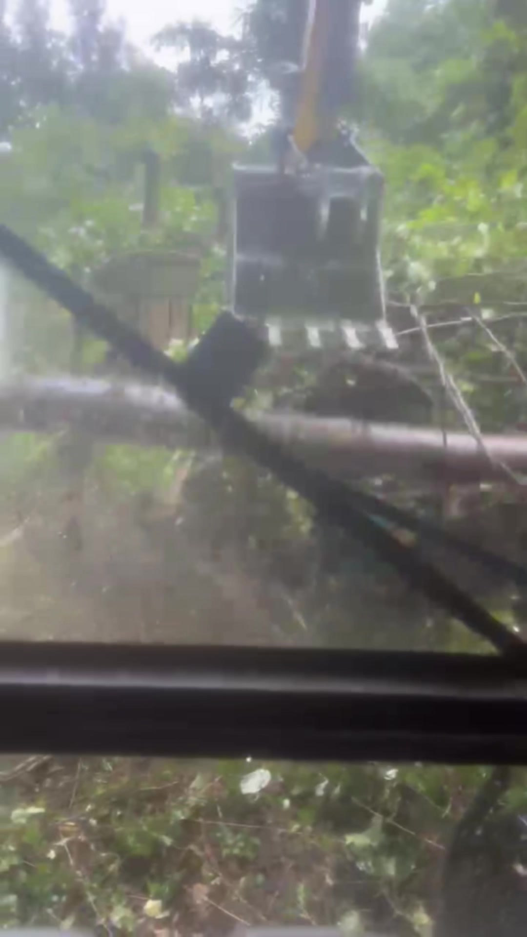 @Chads Tree Service