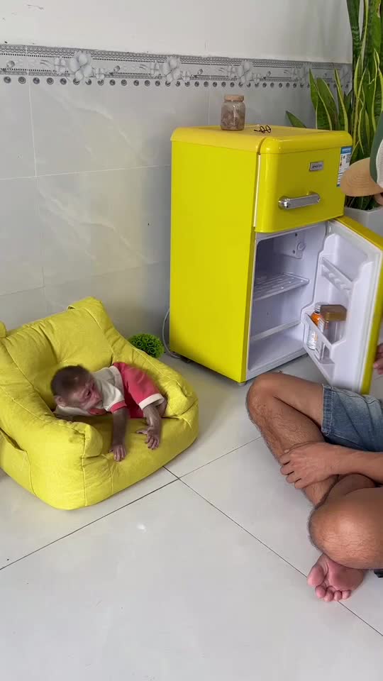 @Lilymonkey