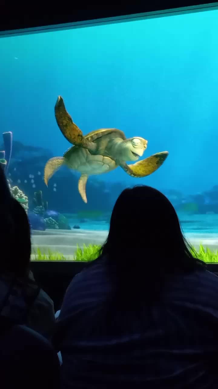 @Beauty