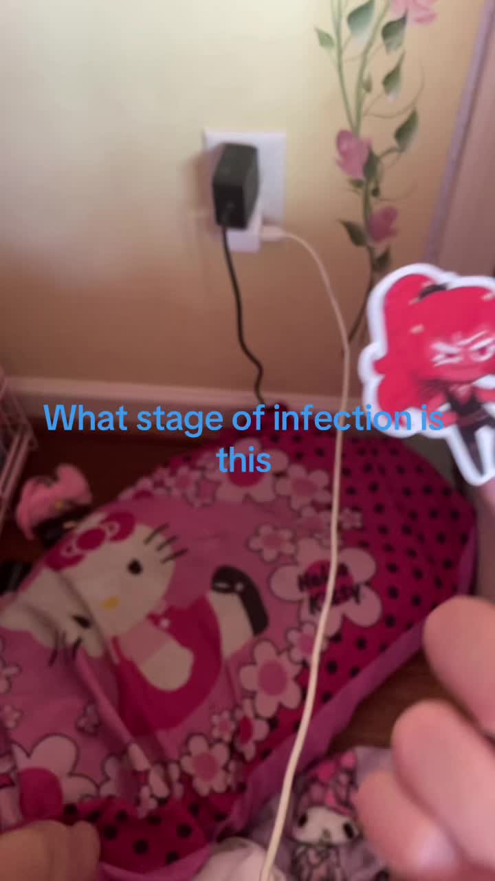 @cutefluffyalex